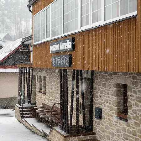 Aurelia Гостевой дом 3*