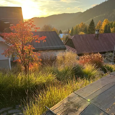 Aurelia 3* Доновалы