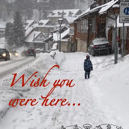 Aurelia Доновалы