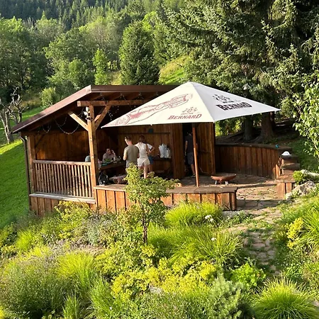 Гостевой дом Aurelia Доновалы