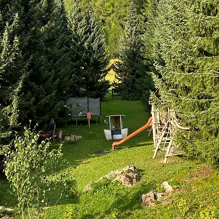 Aurelia Доновалы