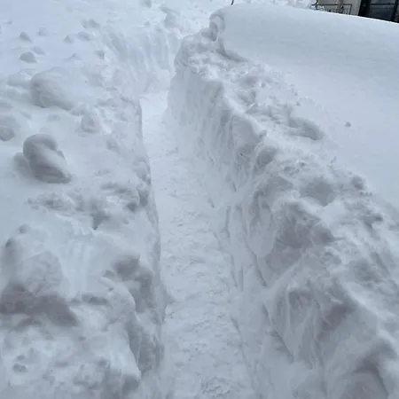 Aurelia 3* Доновалы